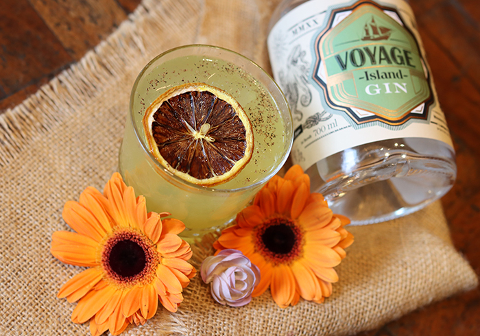 voyage gin review